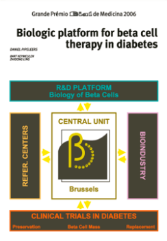 Biological platform for beta cell therapy in diabetes