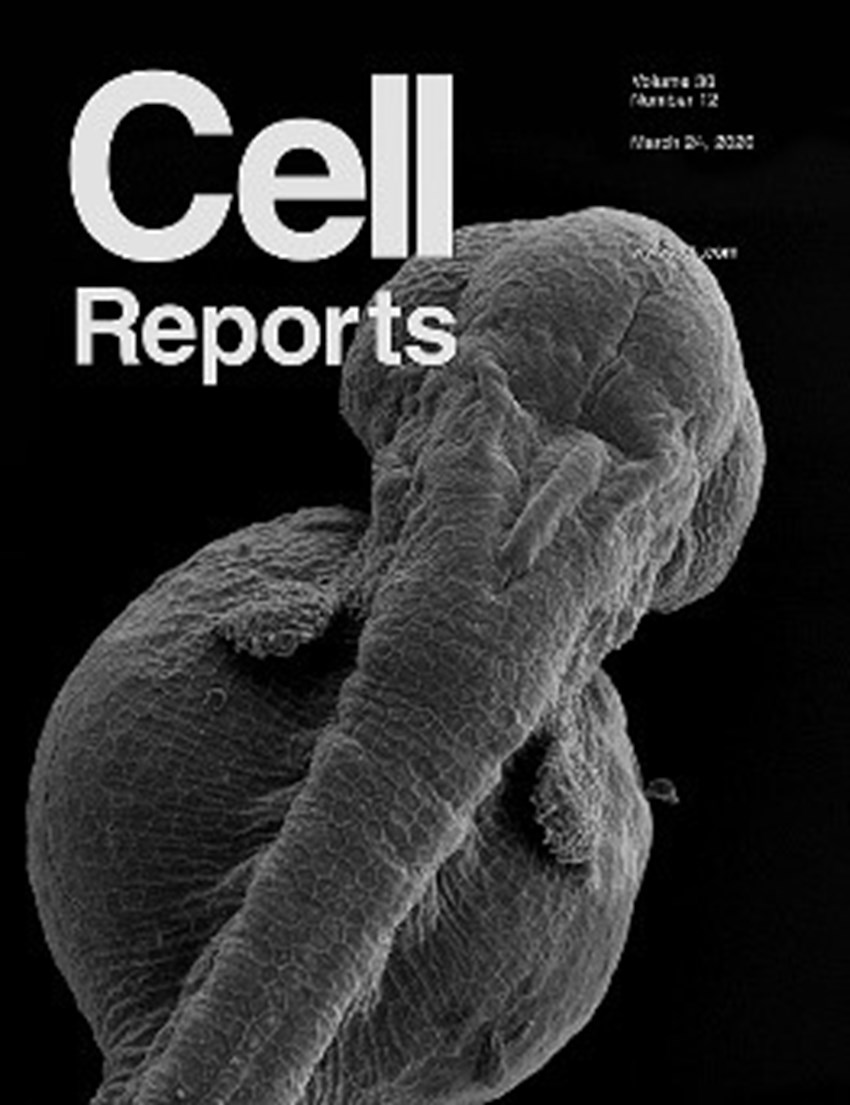 “Cell Reports” apresenta resultados de projeto apoiado pela Fundação BIAL